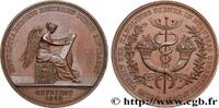 FRANCE Médaille, 100e anniversaire du fond de secours des ASSURANCES Allemagne, Nuremberg 1842 (43,5mm, 50,39g, 12h) -
