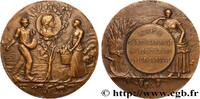 FRANCE Médaille, Société d’encouragement à l’agriculture SOCIÉTÉS D'AGRICULTURE, HORTICULTURE, PÊCHE ET CHASSE n.d. (48,5mm, 53,57g, 12h) -
