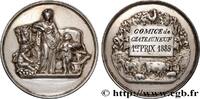 FRANCE Médaille, Comice agricole, Premier prix AGRICULTURE 1885 (36mm, 19,80g, 12h) -