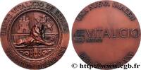 FRANCE Médaille, Vitalicio Seguros ASSURANCES n.d. (84,5mm, 235,69g, 12h) -