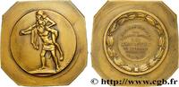 FRANCE Médaille, Société royale de secours mutuels, Les a ASSURANCES Belgique, Bruxelles 1939 (65,5mm, 97,07g, 12h) -