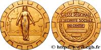 FRANCE Médaille, Caisse régionale de sécurité sociale du ASSURANCES n.d. (50,5mm, 53,83g, 12h) -