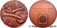 FRANCE Médaille, Groupe Drouot-Assurances, Souvenir de ca ASSURANCES 1975 (76,5mm, 213,89g, 12h) -