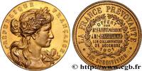 FRANCE Médaille, La France Prévoyante ASSURANCES 1901 (42mm, 33,14g, 12h) -