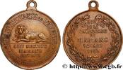 FRANCE Médaille, Les prévoyants de l’avenir, Souvenir de ASSURANCES 1893 (34,5mm, 7,05g, 12h) -