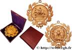 FRANCE Médaille, Congrès gastronomique de Lyon GASTRONOMIE 69 - Lyon 1885 (115mm, 217,97g, 12h) -