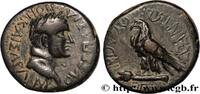 THE FLAVIANS (69 AD to 96 AD) Assarion VESPASIAN Phrygie, Amorium c. 69-79 (19,5mm, 6,04g, 7h) -