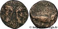 THE JULIO-CLAUDIANS (27 BC to 69 AD) Dupondius COL NEM (as) NEMAUSUS - NIMES - AUGUSTUS and AGRIPPA Nîmes (30) c. 10-14 AD. (26,5mm, 9,81g, 11h) -