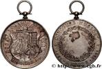 FRANCE Médaille, Concours musical MUSIQUE, ARTS ET CONCERTS Suisse, Genève 1882 (59mm, 61,87g, 12h) -