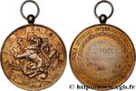 FRANCE Médaille, Concours musical Lyon MUSIQUE, ARTS ET CONCERTS 69 - Lyon 1885 (58mm, 63,24g, 12h) -