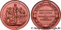 FRANCE Médaille, Société mutualiste complémentaire du per ASSURANCES 59 - Lille n.d. (46mm, 44,54g, 12h) -