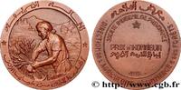 FRANCE Médaille, Société indigène de prévoyance ASSURANCES n.d. (49,5mm, 61,34g, 12h) -