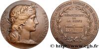 FRANCE Médaille, Récompense du comité de patronage de la ASSURANCES n.d. (50mm, 62,41g, 12h) -