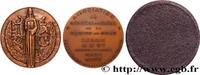 FRANCE Médaille, Médecine du travail MÉDECINE - SOCIÉTÉS MÉDICALES - MÉDECINS/CHIRURGIENS - ASSISTANCE PUBLIQUE 59 - Lille 1966 (50mm, 64,12g, 12h) -