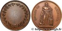 FRANCE Médaille, École de médecine MÉDECINE - ACADÉMIES, FACULTÉS, UNIVERSITÉS ET ÉCOLES (1805) (40,5mm, 32,28g, 12h) -