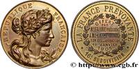 FRANCE Médaille, La France Prévoyante ASSURANCES 1901 (42mm, 33,23g, 12h) -