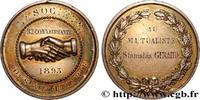 FRANCE Médaille, Société du Saint nom de Maris ASSURANCES 1893 (43mm, 37,93g, 12h) -