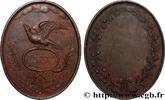 FRANCE Médaille, Adélaïde Delcany FAMILLE, ENFANCE n.d. (56,5mm, 43,58g, 12h) -