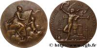 FRANCE Médaille, Monnaie de Paris EXPOSITIONS 75 - Paris 1900 (49,5mm, 61,74g, 12h) -