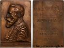 FRANCE Plaquette, Hommage au Professeur Pierre Sebileau MÉDECINE - SOCIÉTÉS MÉDICALES - MÉDECINS/CHIRURGIENS - ASSISTANCE PUBLIQUE 1926 (70,5mm, 88,15g, 12h) -