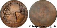 FRANCE Médaille, Centenaire de la Compagnie centrale d’as ASSURANCES 1954 (100mm, 399,01g, 12h) -