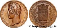 FRANCE Médaille, Visite de la ville de Troyes CHARLES X 1828 (41mm, 29,99g, 12h) -
