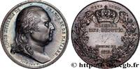 FRANCE Médaille parlementaire POLITIQUE ET POLITICIENS 1818 (40,5mm, 40,33g, 12h) -