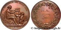 FRANCE Médaille, A l’industrie et aux Beaux-Arts SUISSE Suisse, Genève 1904 (45,5mm, 42,43g, 12h) -