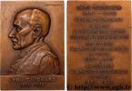 FRANCE Plaquette, Léon Guignard MÉDECINE - SOCIÉTÉS MÉDICALES - MÉDECINS/CHIRURGIENS - ASSISTANCE PUBLIQUE 1928 (70,5mm, 137,04g, 12h) -
