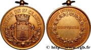 FRANCE Médaille, Souvenir, Grand Concours international d MUSIQUE, ARTS ET CONCERTS 1899 (47,5mm, 32,52g, 12h) -