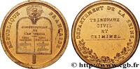 FRANCE Médaille des juges, Tribunaux civil et criminel DIRECTOIRE n.d. (46,5mm, 38,14g, 12h) -