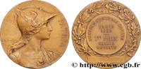 FRANCE Médaille, PATRIA, Société centrale canine SOCIÉTÉ CANINE - CHIENS ET CONCOURS 1933 (49,5mm, 61,34g, 12h) -