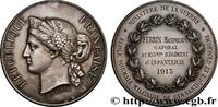 FRANCE Médaille, École Normale Militaire de Gymnastique e ÉTUDES SUPÉRIEURES : ÉCOLES, INSTITUTS 1913 (50mm, 61,3g, 12h) -