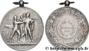 FRANCE Médaille, Ville de Falaise VILLES 14 - Falaise 1913 (46,50mm, 33,6g, 12h) -