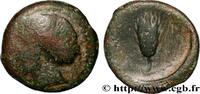 Hellenistic 1 (323 BC to 188 BC) Unité LUCANIA - METAPONTUM Métaponte, Lucanie c. 300-250AC. (18,5mm, 6,08g, 6h) -