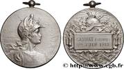 FRANCE Médaille, Récompense TROISIÈME RÉPUBLIQUE 03 - Gannat 1913 (56mm, 57,34g, 12h) -