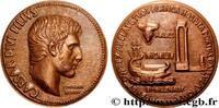 FRANCE Médaille, Bi-millénaire de la création d’Arles par NUMISMATIQUE 13 - Arles 1974 (73mm, 231,5g, 12h) -