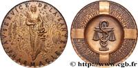 FRANCE Médaille, Au service de la santé, Pharmacie, refra MÉDECINE - SOCIÉTÉS MÉDICALES - MÉDECINS/CHIRURGIENS - ASSISTANCE PUBLIQUE Monnaie de Paris n.d. (81,5mm, 341,55g, 12h) -