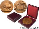 FRANCE Médaille, Compagnie des salins du midi TROISIÈME RÉPUBLIQUE n.d. (49,5mm, 60,49g, 12h) -