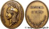 FRANCE Médaille, Conseil d’État, refrappe POLITIQUE ET POLITICIENS n.d. (46,5mm, 36,32g, 12h) -