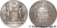 FRANCE Médaille, Travaux archéologiques HISTOIRE ET ARCHÉOLOGIE 1860 (50,5mm, 61,93g, 12h) -