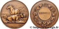 FRANCE Médaille de récompense n.d. AGRICULTURE n.d. (36mm, 21,08g, 12h) ... 26.03 £ Tax included +  15.62 £ shipping