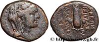 Hellenistic 2 (188 BC to 30 BC) Demi unité SYRIA - APAMEA Apamée, Syrie c. 74-69 AC. (16mm, 5,57g, 6h) -
