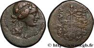 Hellenistic 2 (188 BC to 30 BC) Unité SYRIA - APAMEA Apamée, Syrie 20-19 AC. (23mm, 8,80g, 12h) -