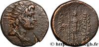 THE REPUBLIC (280 BC to 27 BC) Bronze SYRIA - SELEUCIA AND PIERIA - LAODICEA Laodicée 44 AC. (22,5mm, 9,05g, 12h) -