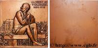 FRANCE Plaquette, Arouet de Voltaire LITTÉRATURE : ÉCRIVAINS/ÉCRIVAINES - POÈTES Monnaie de Paris (1978) (78,5mm, 312,10g, 12h) -