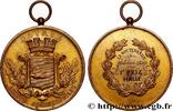 FRANCE Médaille, Luttes colombophiles TROISIÈME RÉPUBLIQUE 23 - La Souterraine 1890 (56mm, 63,11g, 12h) -