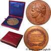 FRANCE Médaille, Révision partielle des lois constitution POLITIQUE ET POLITICIENS 1884 (73mm, 169,12g, 12h) -