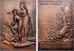 FRANCE Plaquette, Commerce, Institut Commercial de Paris QUATRIÈME RÉPUBLIQUE 1955 (88mm, 230,63g, 12h) -