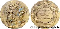 FRANCE Médaille, Union nationale interprofessionnelle des ASSOCIATIONS PROFESSIONNELLES - SYNDICATS n.d. (50mm, 61,28g, 12h) -